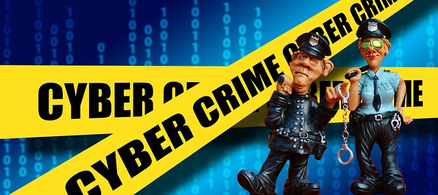 Cyberbetrug-Netzwerk zerschlagen