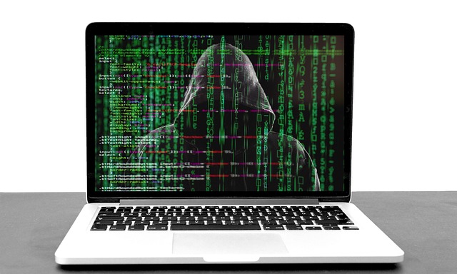 BaFin:Risiken aus Cyber-Attacken mit gravierenden Auswirkungen